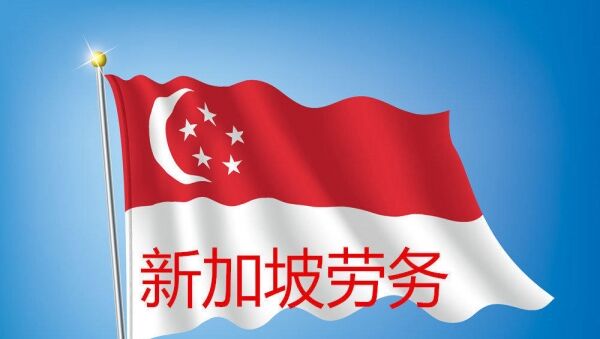 mg冰球突破|新加坡工作签证的种类